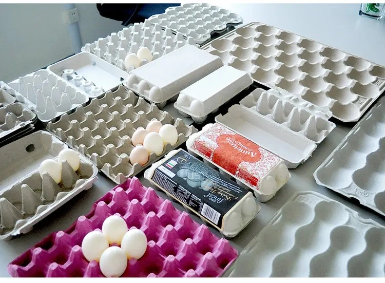 Paper Egg Tray Produtcion Line, Egg Carton Making Machine